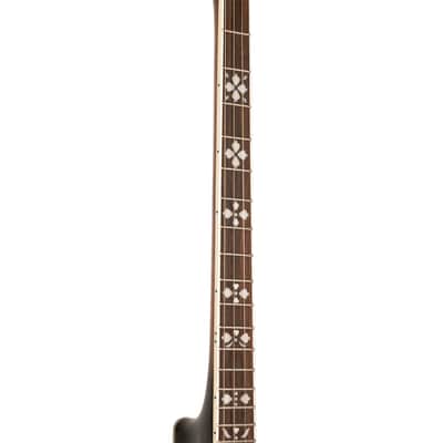 GOLD TONE TS-250 Tenor Special banjo NEW w/Hard Case image 8