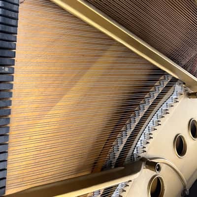 Steinway & Sons Model M – 5'7" Mahogany Grand Piano – Beautiful Tone – Exceptional Value image 9