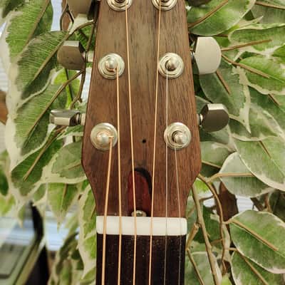 Seagull 6 Acoustic Guitar Late 80's Handmade in Canada w/ Original Schaller Tuners image 9