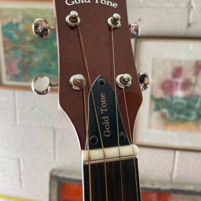 Gold Tone TG-10 Tenor 2010s - Natural image 2