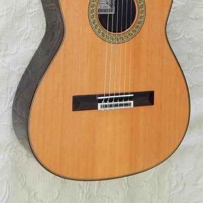 Esteve 7SR 640 short scale classical guitar/all solid wood/cedar top image 2