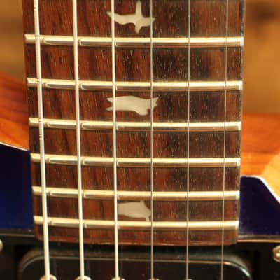 PRS SE Custom 24 w/ Bird Inlays - Blue Flame Top image 9