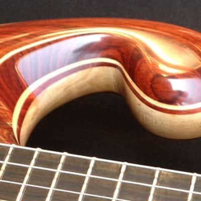 Waldschmidt Guitars-Jerry Garcia Tiger Clone image 2