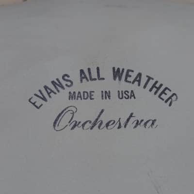 Evans Rare All Weather Orchestra 13" 50s-60s  - Vintage coated white image 1