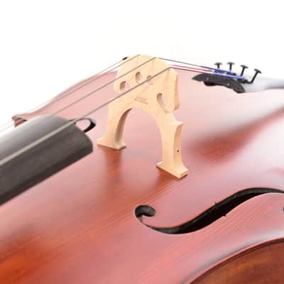 Scherl & Roth SR55 Galliard Student Cello - 4/4 image 9
