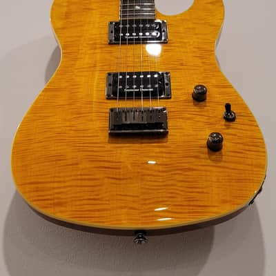 Fender Special Custom FMT HH Telecaster image 2