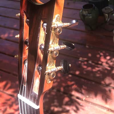 Traphagen guitar Classical/Early Romantic 2023 image 6