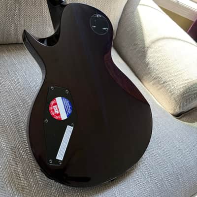ESP LTD EC-1000 Deluxe FM with Ebony Fretboard 2019 - See Thru Purple image 9
