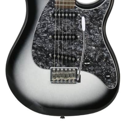 Peavey Raptor Custom 6 String Electric Guitar SSS - Silverburst image 2