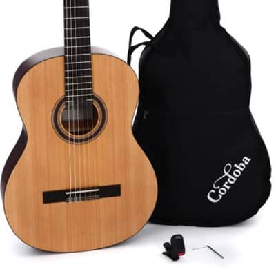 Cordoba CP100 Nylon String Guitar Pack - Spruce Top image 2