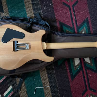 PRS SE Custom 24-08 Eriza Verde image 5