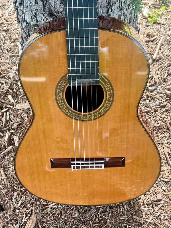Yamaha GC-41C Grand Concert Classical Acoustic Guitar image 1
