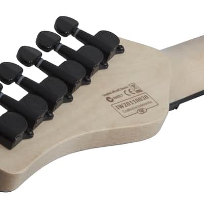 Schecter Sun Valley Super Shredder FR S Blue Reign image 15