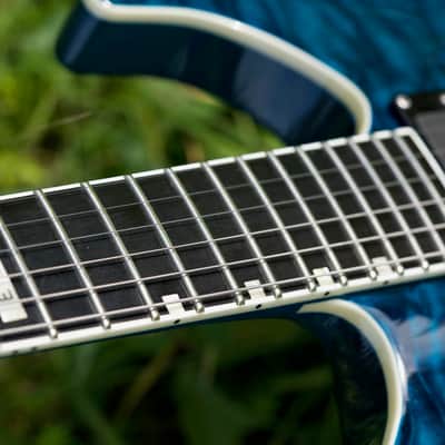 ESP Horizon FR-II BKAQ Standard 2005 Black Aqua image 10