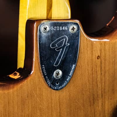 1973 Fender Stratocaster walnut image 16