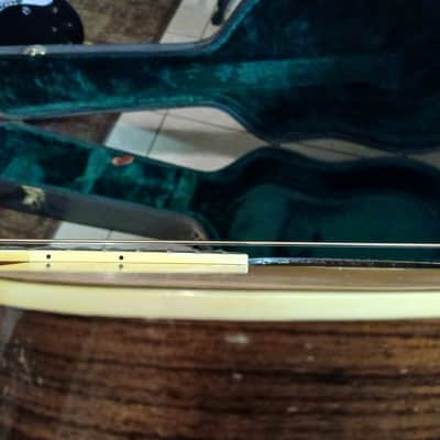 Aria GR30 Acoustic Guitar~Gallagher~Large Soundhole~Bluegrass~Rosewood~Solid~w/Hard Case~Video~Japan~70's image 14