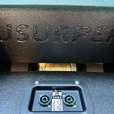 Barefaced Audio Usurper 210H 2022 - Silver Grill, Green Tolex image 2