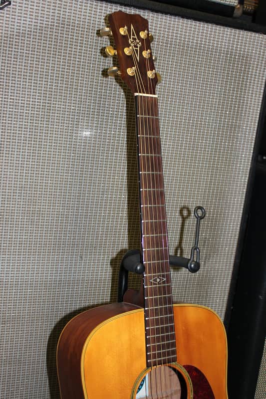 Alvarez 5030 | Reverb