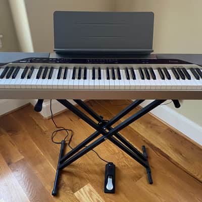 Casio Privia PX-110 2010 - Silver | Reverb