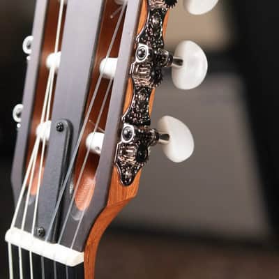 Taylor 214ce-N Nylon Grand Auditorium Acoustic/Electric Guitar with Gig Bag image 9