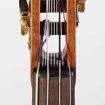 2013 Long Neck Tarhu by Peter Biffin, Mint Condition, w/Case, Super Rare! image 8