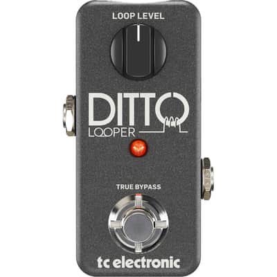 TC Electronic Ditto Looper Guitar Effects Pedal image 1