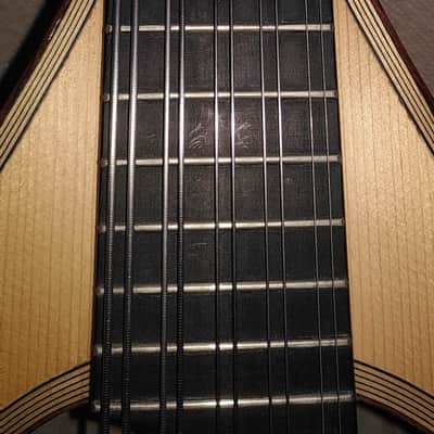 Liuto cantabile (mandocello 5 courses) image 7