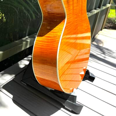 Taylor 655ce (2004 w ES1 Pickup) with Extras imagen 4