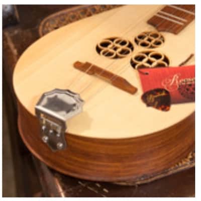 Roosebeck DMWR | Wildwood Dulcimer Rosewood with 3 Round Openings, Flat Pegbox. New with Full Warranty! image 5