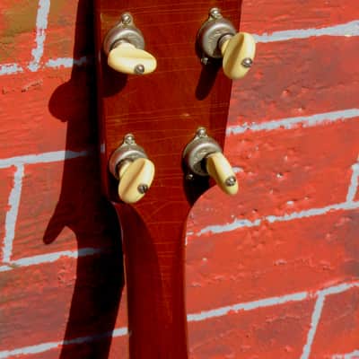 Gibson Charlie Christian Tenor Guitar 1937 Sunburst finish image 7