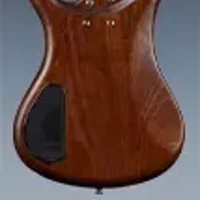 Warwick Pro Series Corvette Standard | 4 String | Active | Ash | Antique Tobacco Transparent Satin image 5