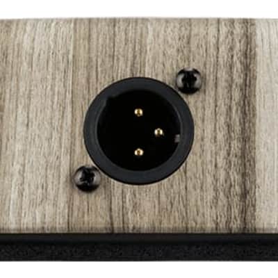 LR Baggs Align Active DI Acoustic Pedal image 6