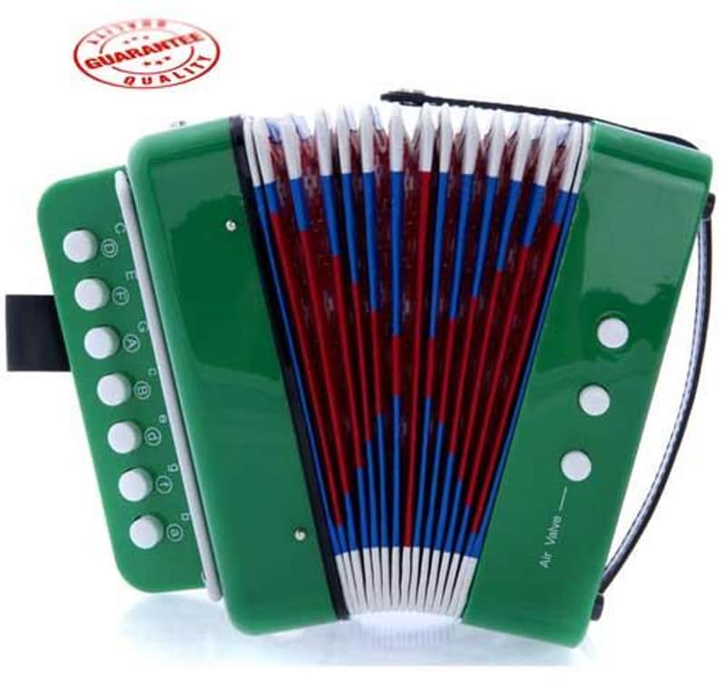 D’Luca Child Button Accordion Green image 1