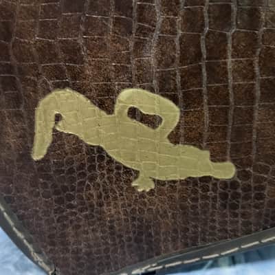 Vintage 1977 D'Andrea Z Explorer Alligator Look Soft Shell Guitar Case Warranty Card Candy image 2