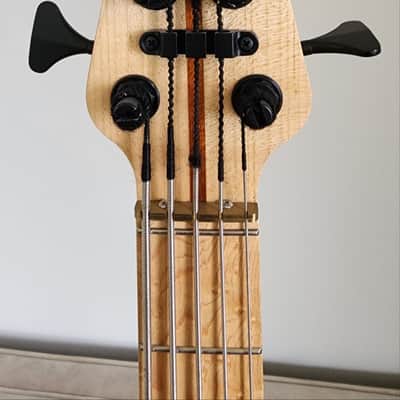 Tensor custom bass Classic series 5-string dual-pickup image 5