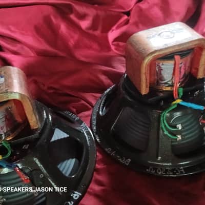 12" FIELD COIL SPEAKERS WIDE RANGE PAIR ALL NEW OEM AMERICAN COMPONENTS PMR 30PAP-FC 2026 image 2
