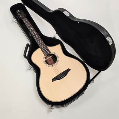 Douglas CGC-200 Classical Guitar Case for Bromo BAR 5 and others image 4
