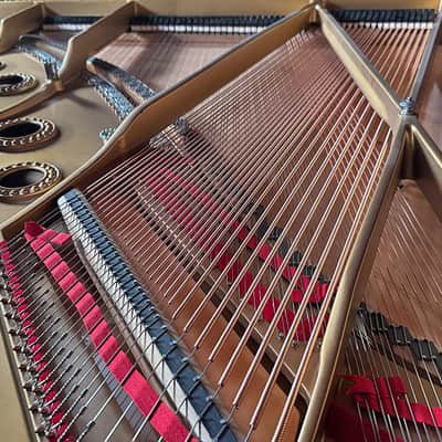 Steinway&Sons A 1901 - Satin Walnut image 14