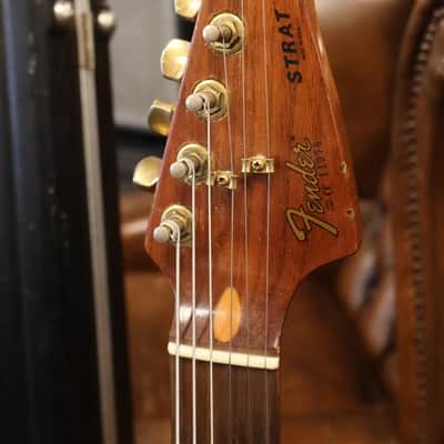 Fender Walnut "The Strat" 1981 image 3