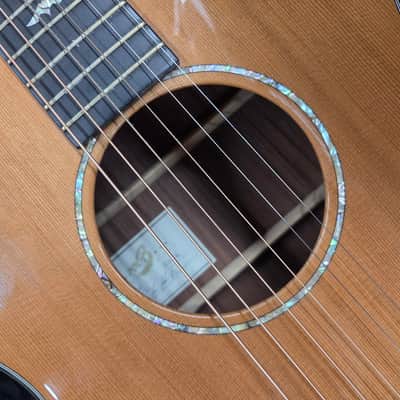 Breedlove Focus Acoustic Electric with Case 2001 - Natural image 6