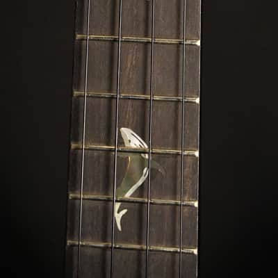 aNueNue Black Whale Tenor 2026 image 9