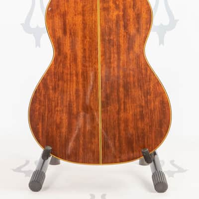 Daion GC 20 (Yamaki Built) image 5