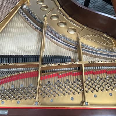 Steinway Model M 5'7" Grand Piano 1924 (Restored) - Satin Mahogany image 18