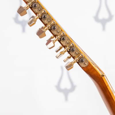 Daion Year Series '80 / 12 String image 18