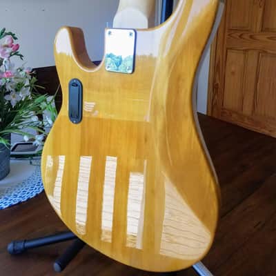 Tony Levin Signature Series Stingray 5 Bass - Rare image 5