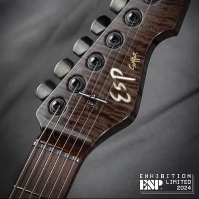 ESP Exhibition Limited EX24-02 Snapper Custom Shop 2024 - Multiple Colored Stabilized finish w/Super Natural/See Thru Black image 7