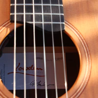 Lowden S25j 2020 - Nylon image 7