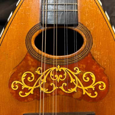 American Conservatory Lyon & Healy Bowl Back Mandolin - Early 1900s - Brazilian Rosewood - Great Player - Ship FREE!!! image 5