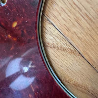 General Vintage Tone 1962 Nitrate Celluloid Strat Pickguard + Vintage White Covers/Knobs/Tips Set — Pre-CBS Spec Bundle image 4