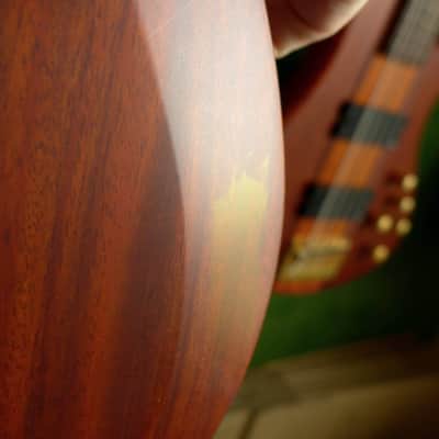 ESP LTD B-5E Neck-thru active 5-string bass (Mahogany top version) image 20